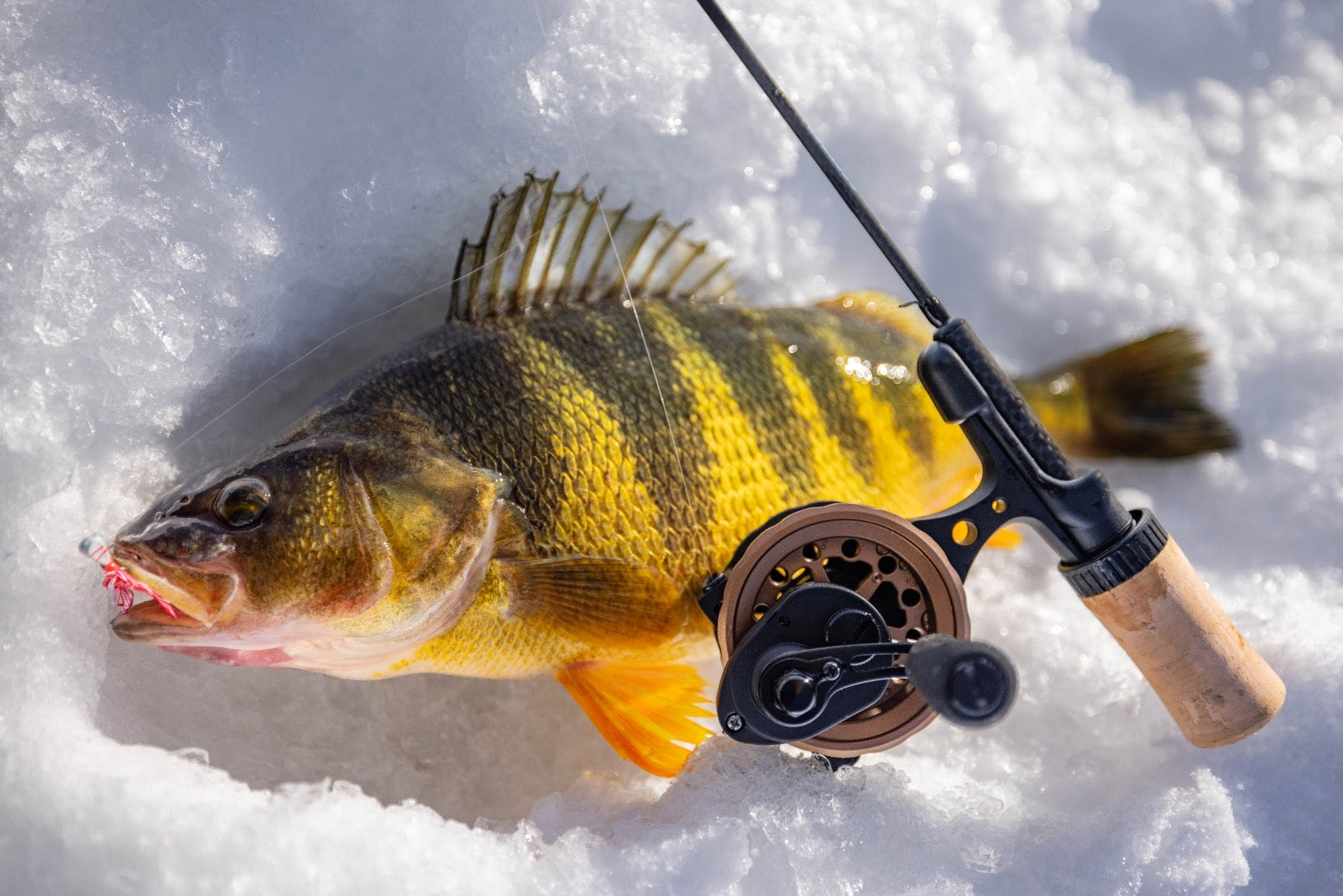 Ice Fishing Lures