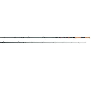 Casting Rods