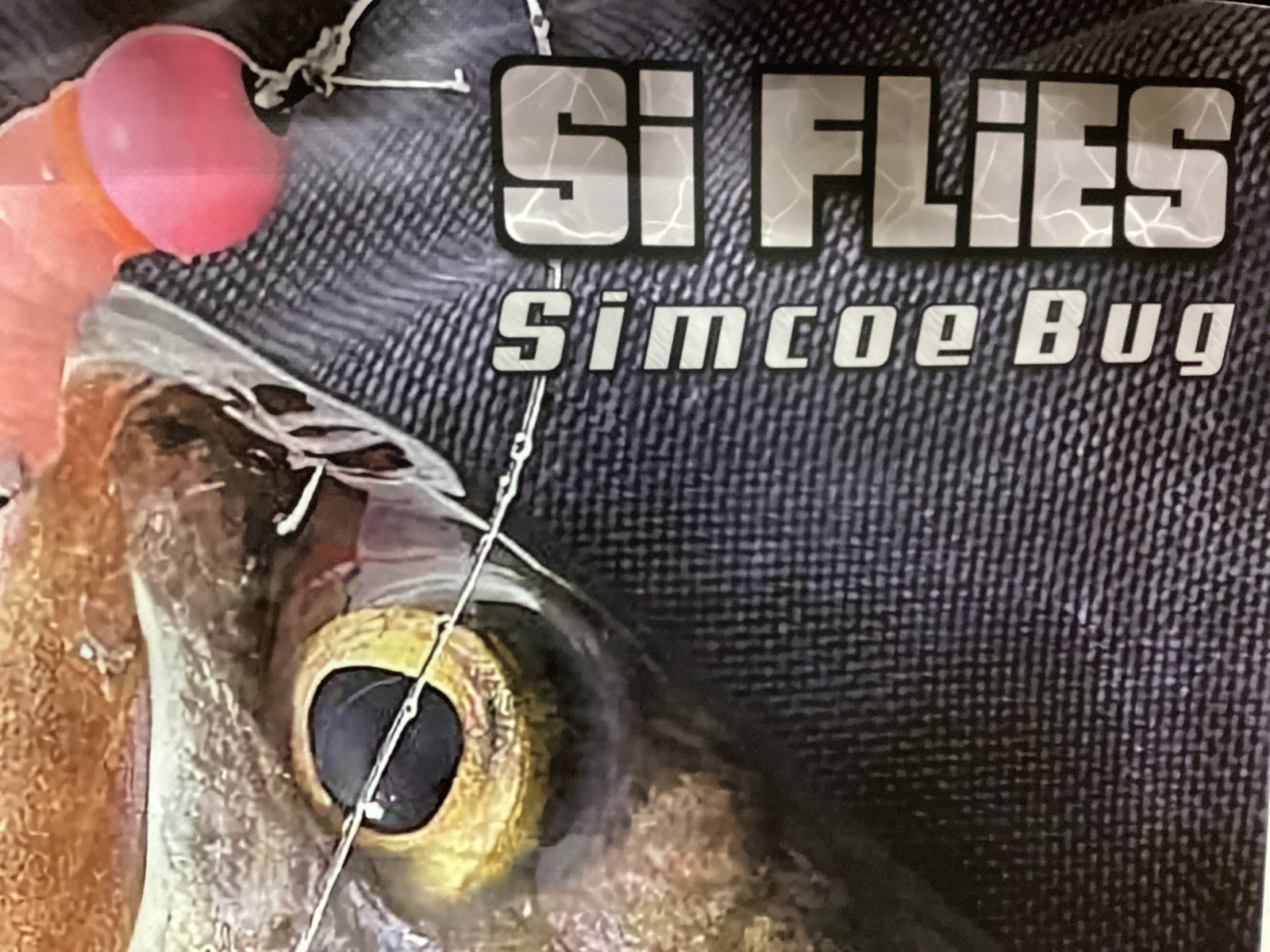 Simcoe
