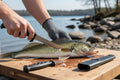 Rapala Fisherman's Fillet Combo