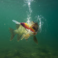 KC Lures Magic Minnows
