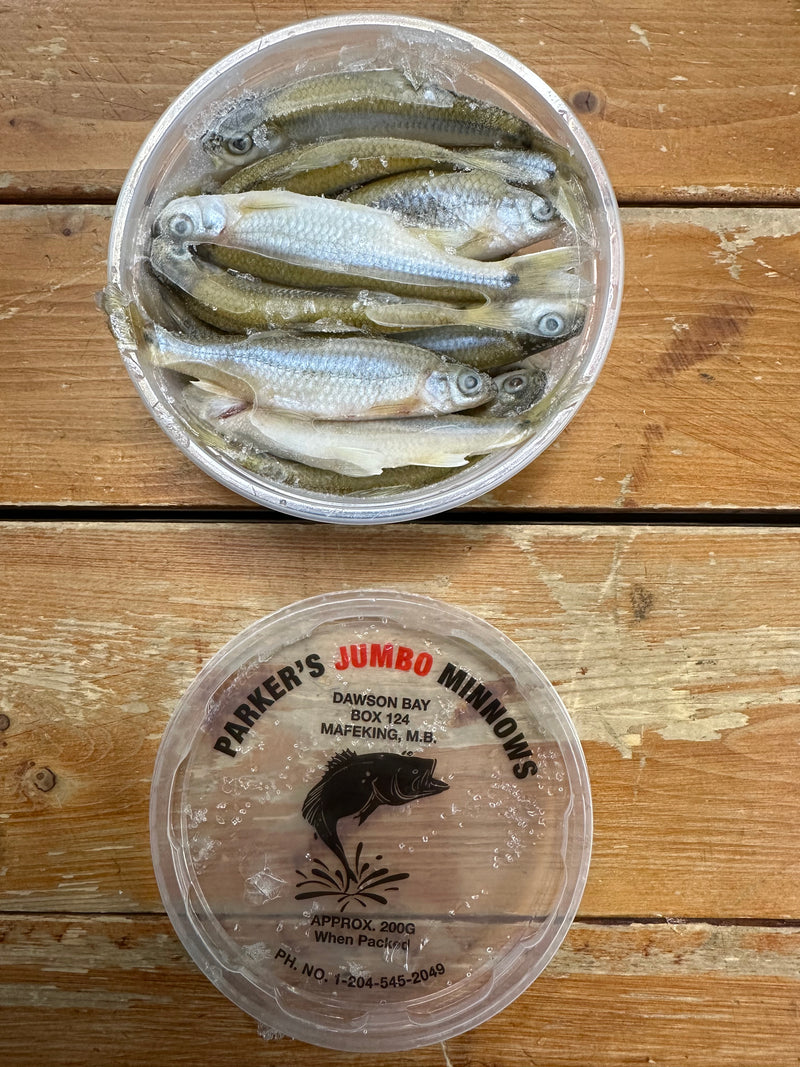 "Parkers" Jumbo Frozen Minnows