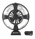 Fan Light