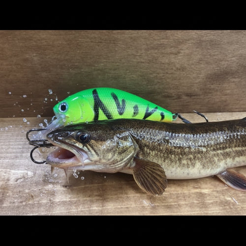 KC Lures Big Bubba Baits