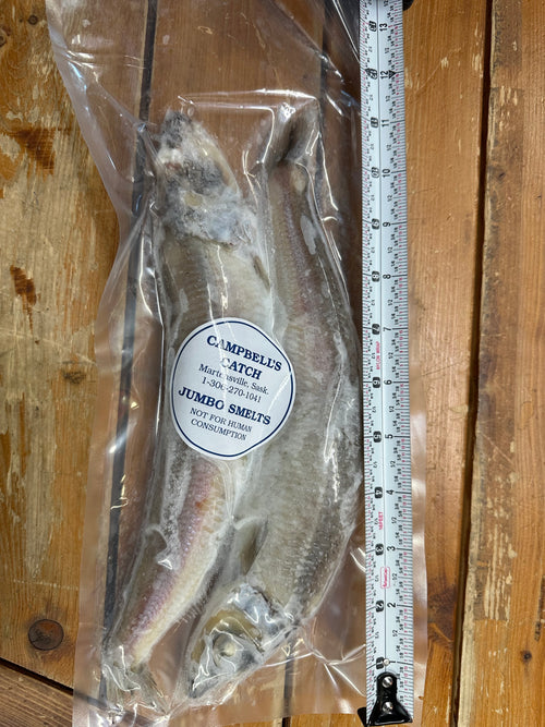 "Campbells Catch" Frozen Jumbo Smelts