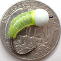 Si Flies Super Glow Series Simcoe Bugs