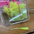 Hitch and Fish Mini Jerk Baits