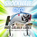 HCL Shockwave Rattle Baits