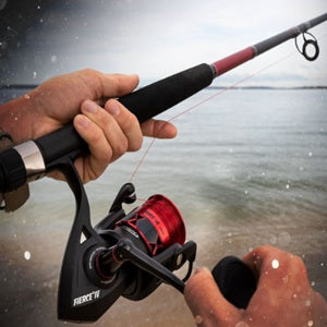 PENN Fierce IV Spinning Combo