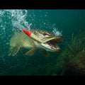 KC Lures Reef Racer